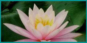 Spiritual Fasting Spiritual Fasting